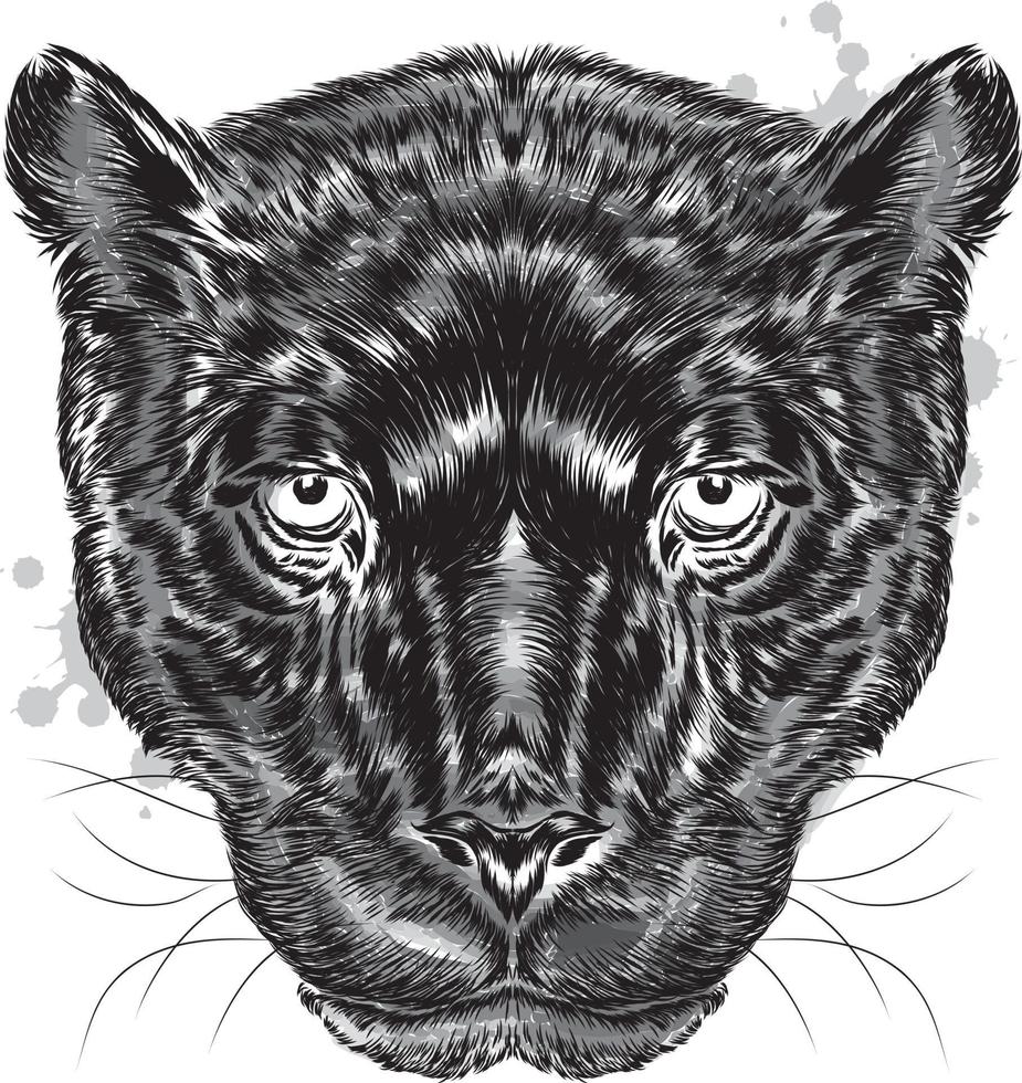 Beautiful black panther vector