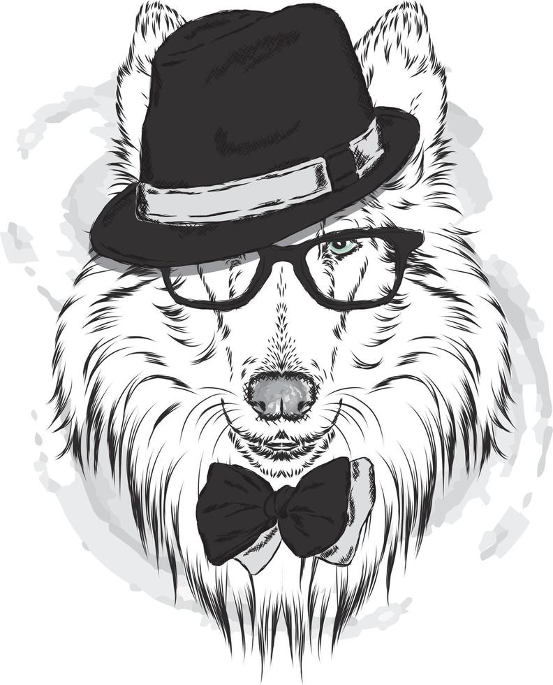 Beautiful hipster dog in stylish clothes and accessories vector
