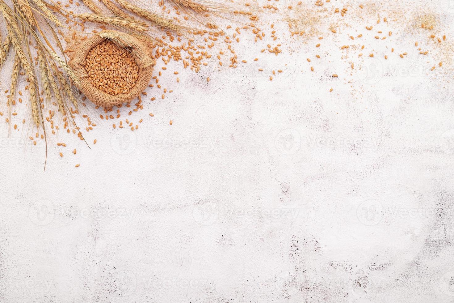 Wheat ears and wheat grains set up on white concrete background photo