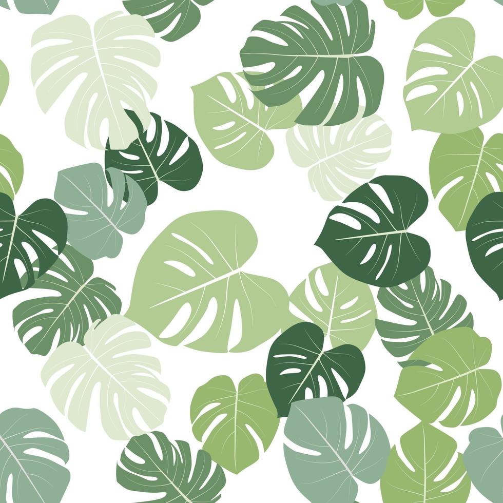 Monstera leaaves seamless pattern natural tropical background. vector