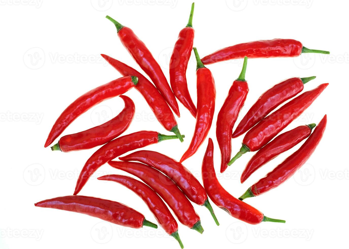 Close up red hot chili spur pepper photo