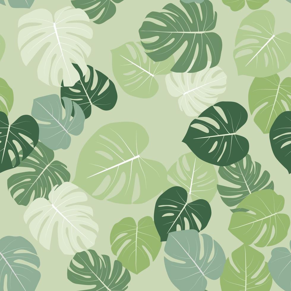 Monstera leaaves seamless pattern natural tropical background. vector