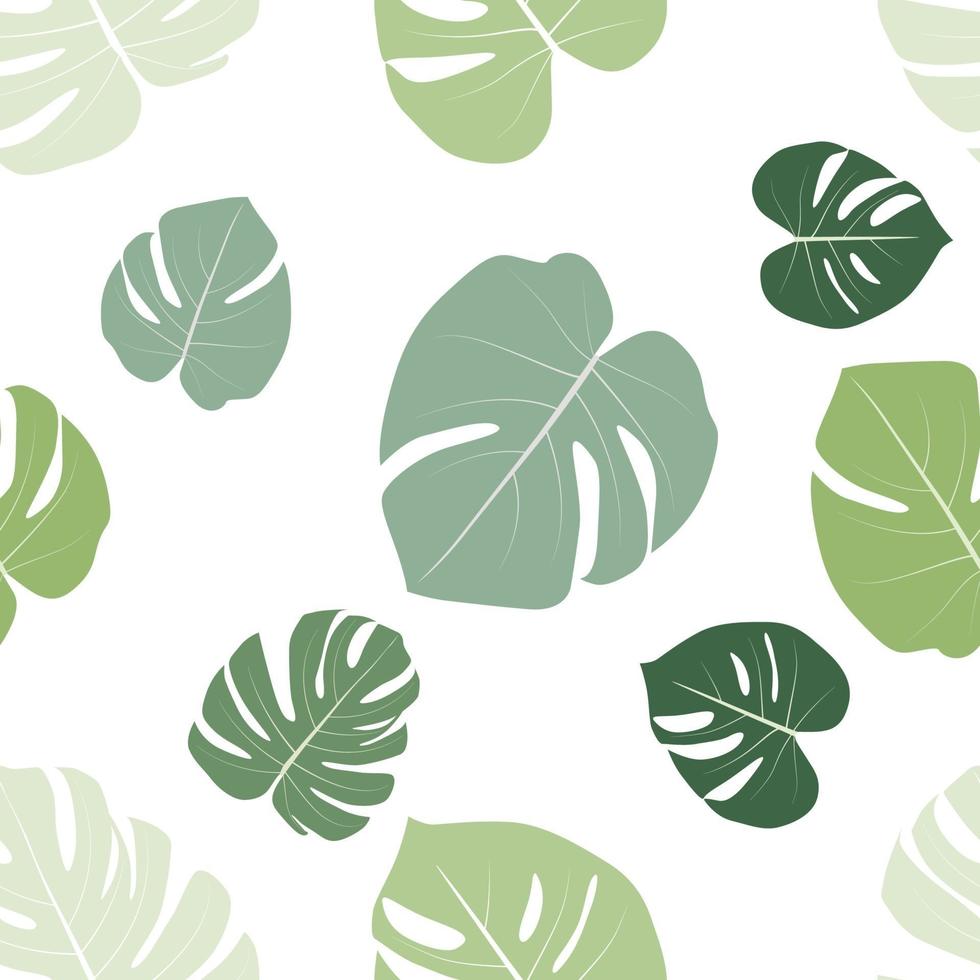 Monstera leaaves seamless pattern natural tropical background. vector