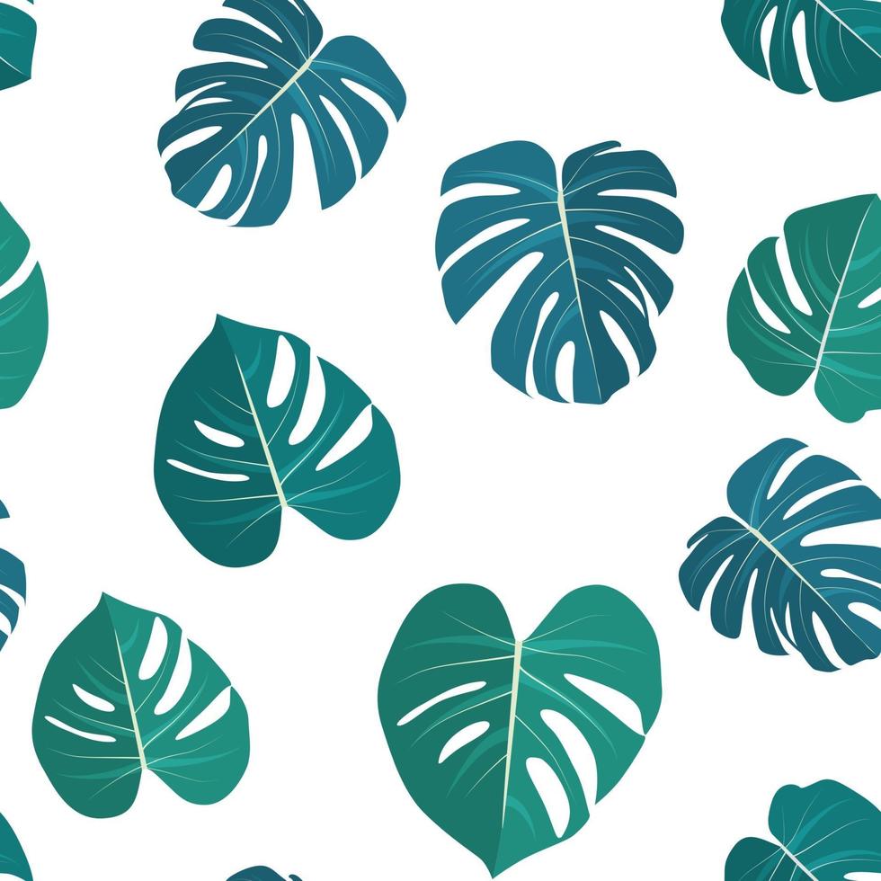 Monstera leaaves seamless pattern natural tropical background vector