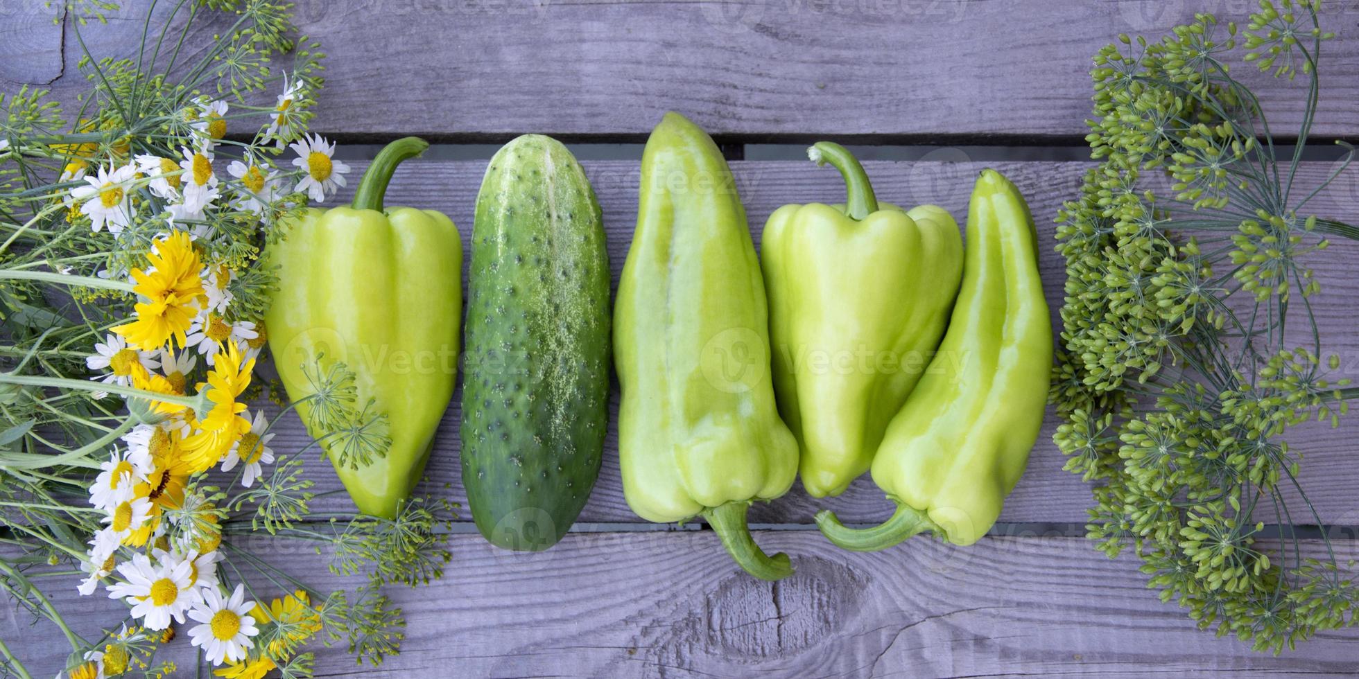 Horizontal background from vegetables, flowers and herbs. photo
