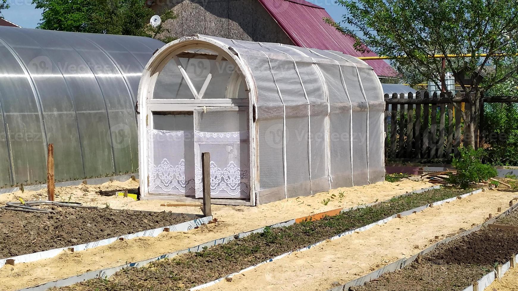 Homemade greenhouse from window frames. Garden beds. Vegetable garden. photo