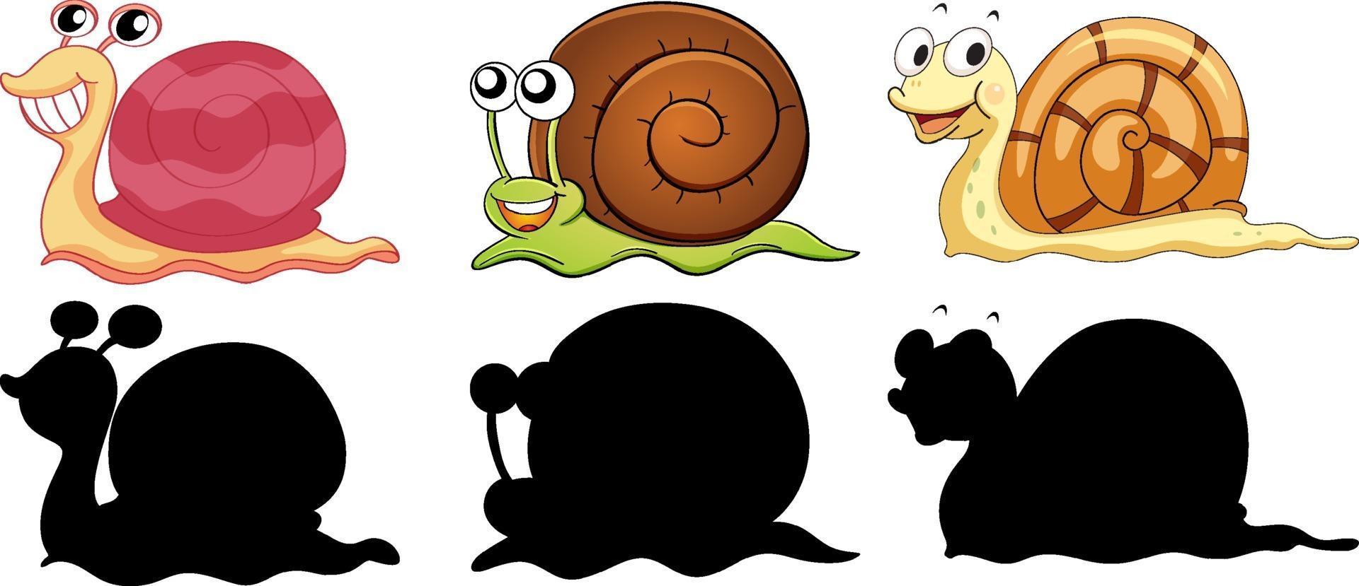 Set of different snails with its silhouette on white background vector