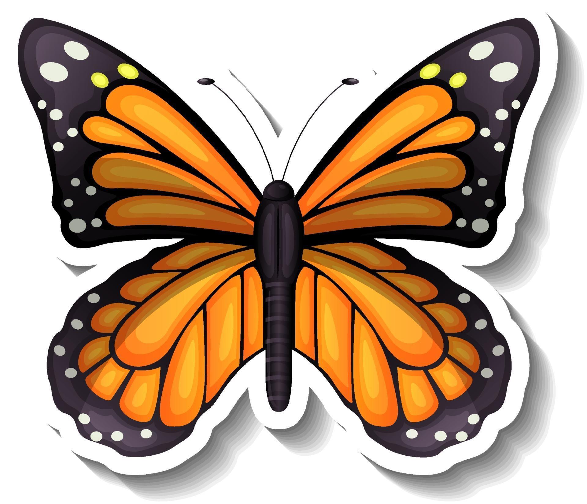 a-sticker-template-with-butterfly-or-moth-isolated-3046107-vector-art