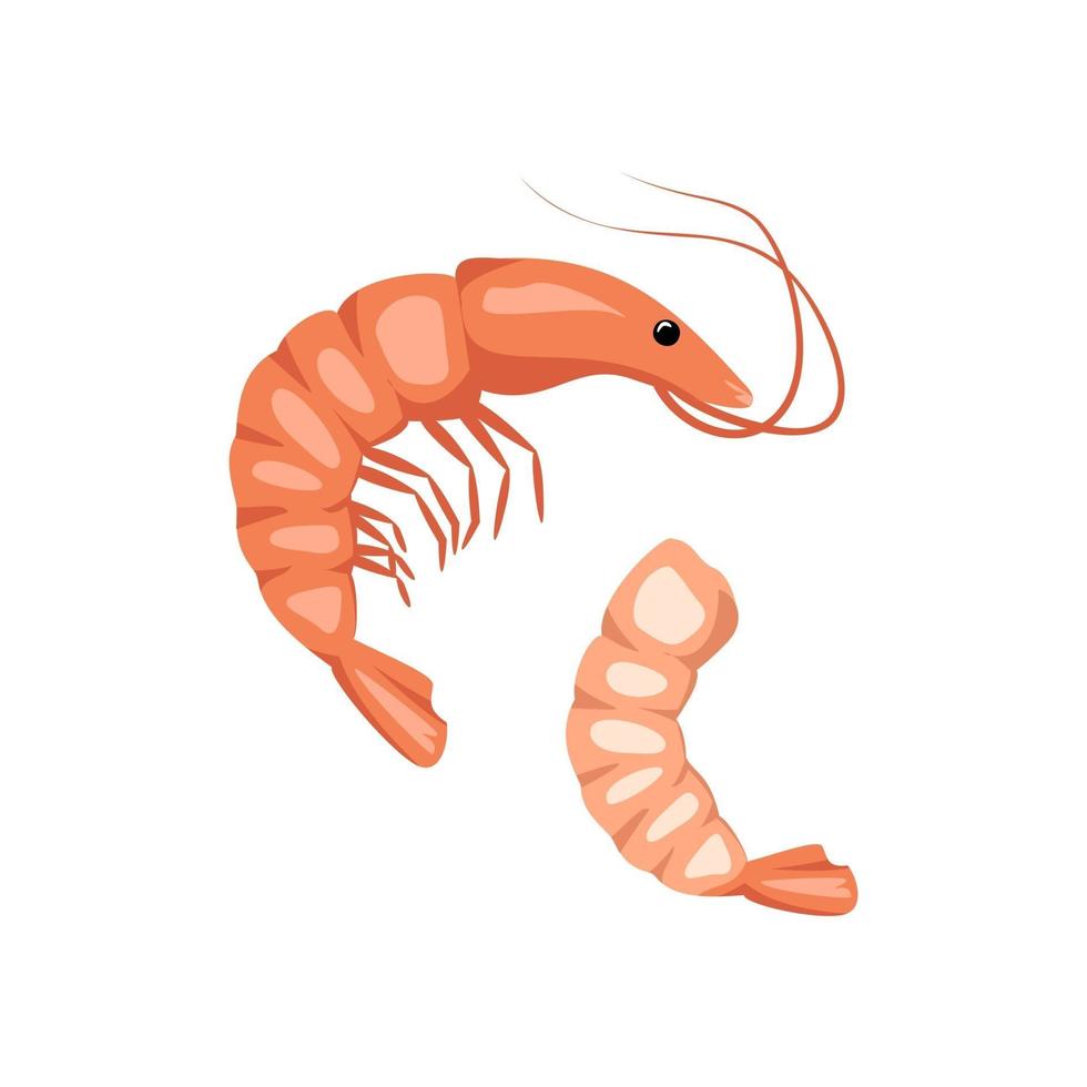 conjunto de camarones o icono de gambas. mariscos para cenar o un refrigerio vector