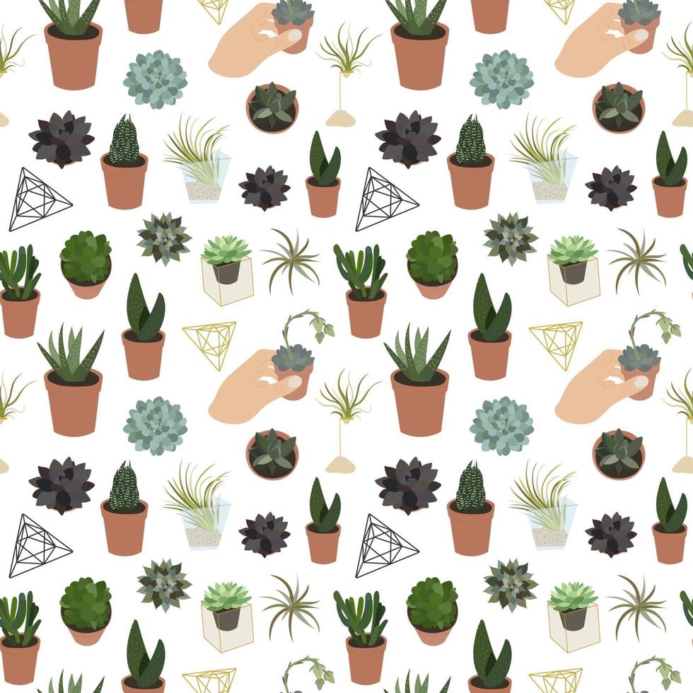 Realistic set of succulents and accessories pattern vector