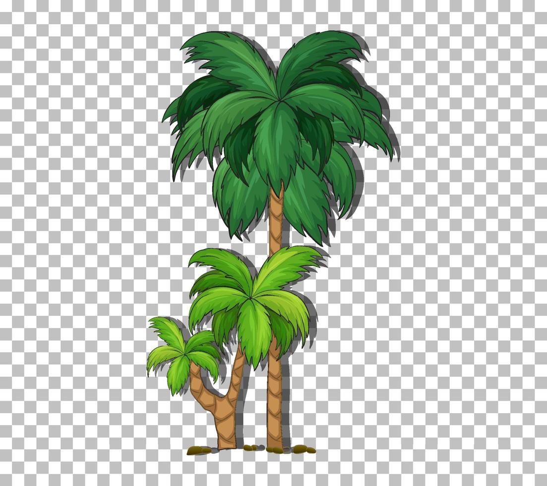 palmera aislada vector