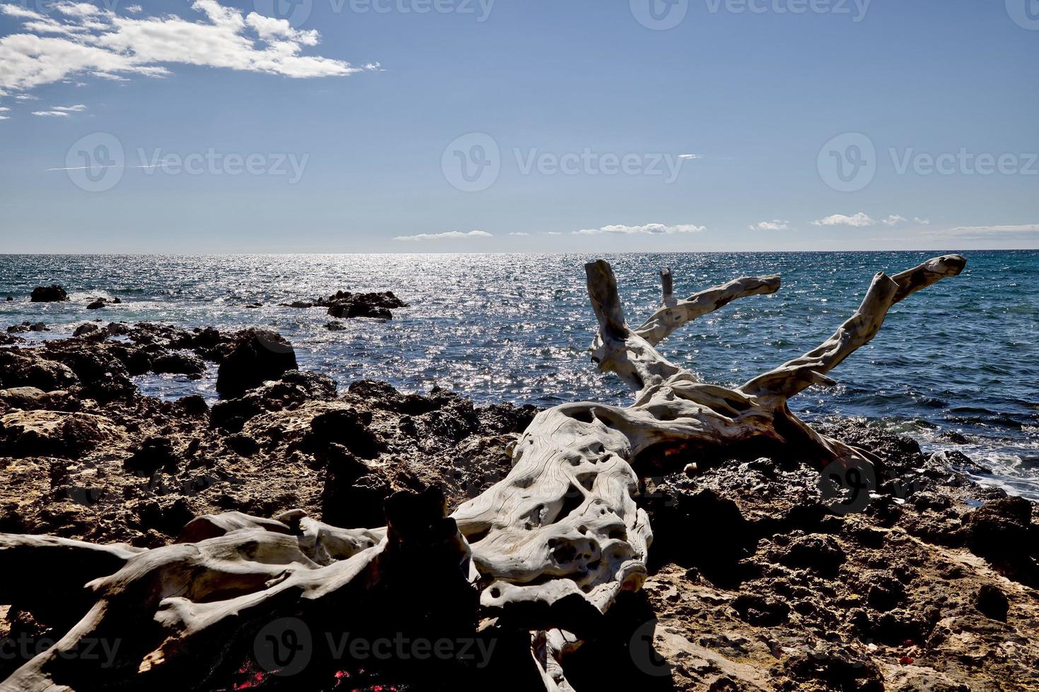 isla de Hawaii, playa 67 driftwood y mar foto