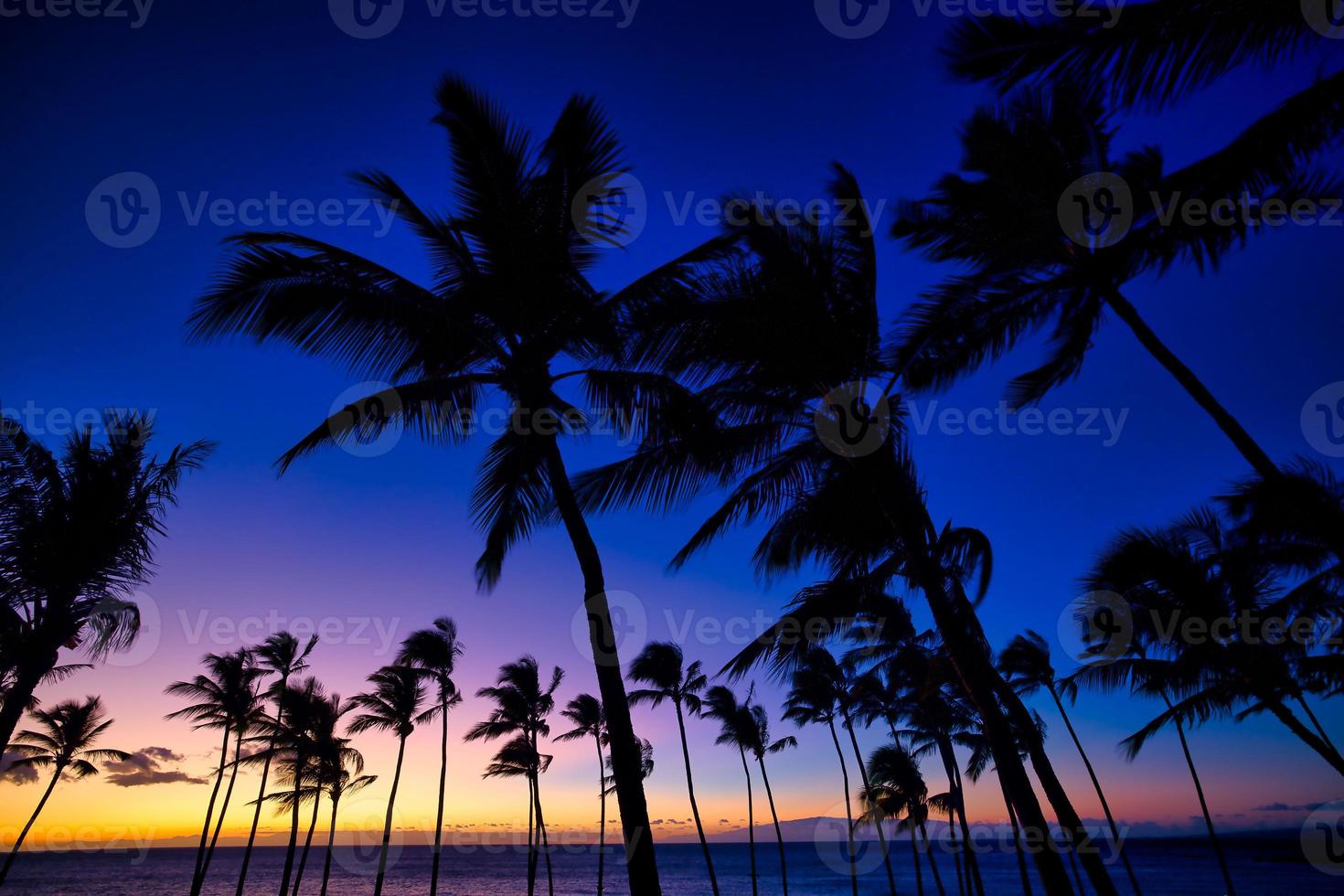 Beautiful sunset on the Big Island, Kohala Coast, Waikoloa, HAWAII photo