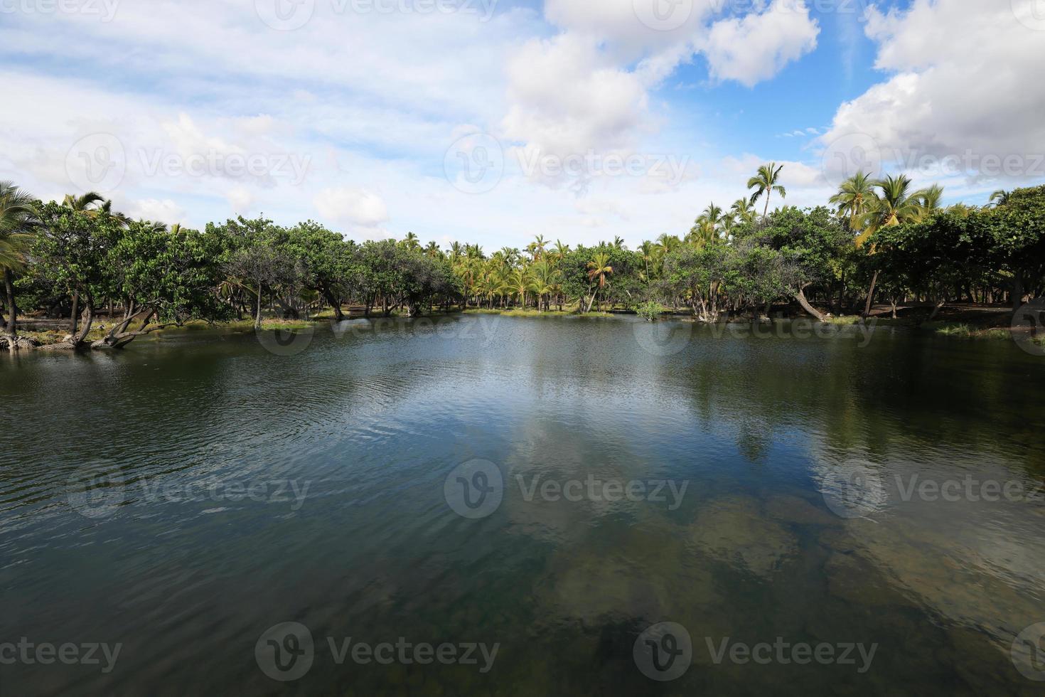 Fish Pond in Kalahuipuaa Historical Park on the Big Island of Hawaii photo