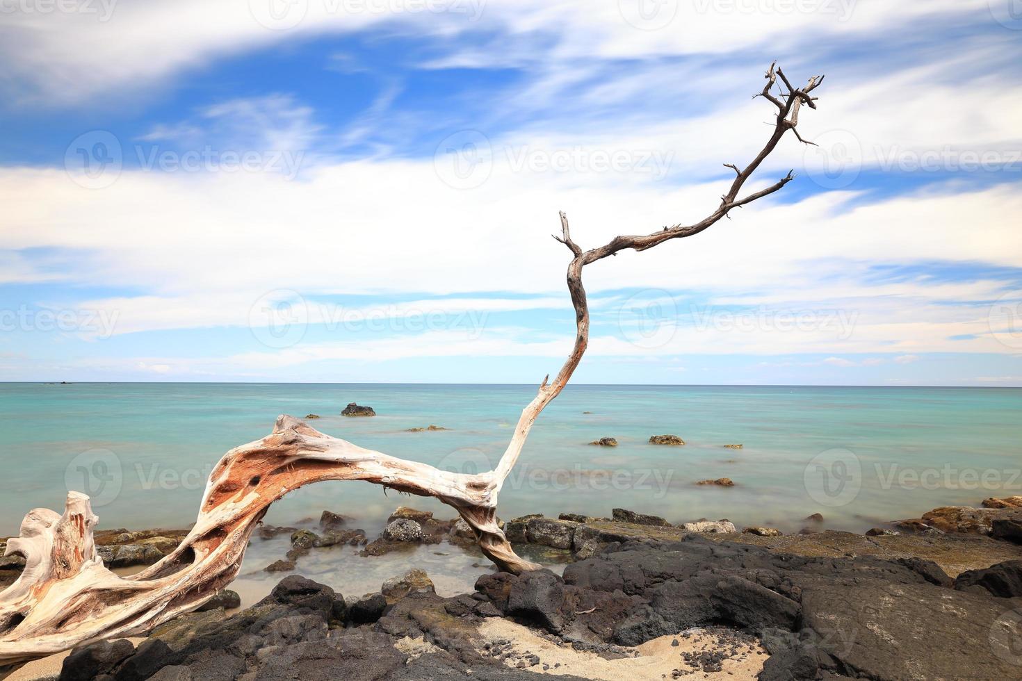 Driftwood y el mar en la playa de Anaeho'omalu Big Island, Hawaii foto