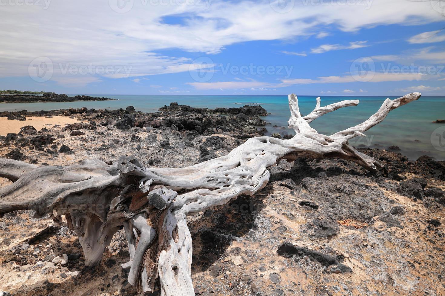 Hawaii Island, Beach 67 Driftwood and Sea photo