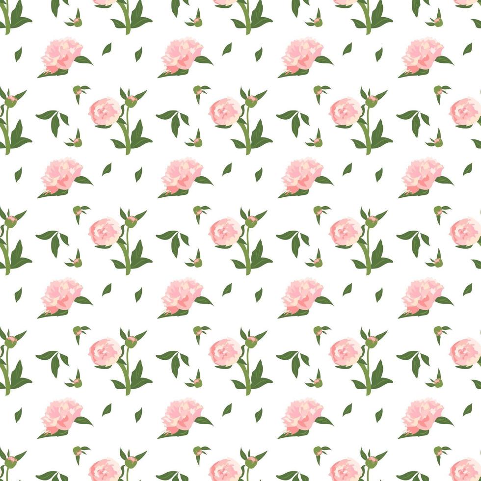 seamless pattern with flowers peonies vector