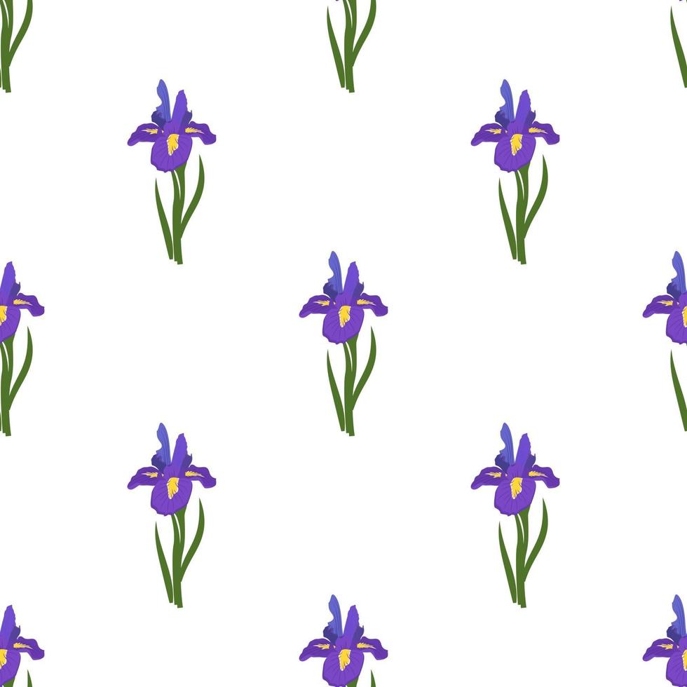 lindo patrón sin costuras de flores de iris vector