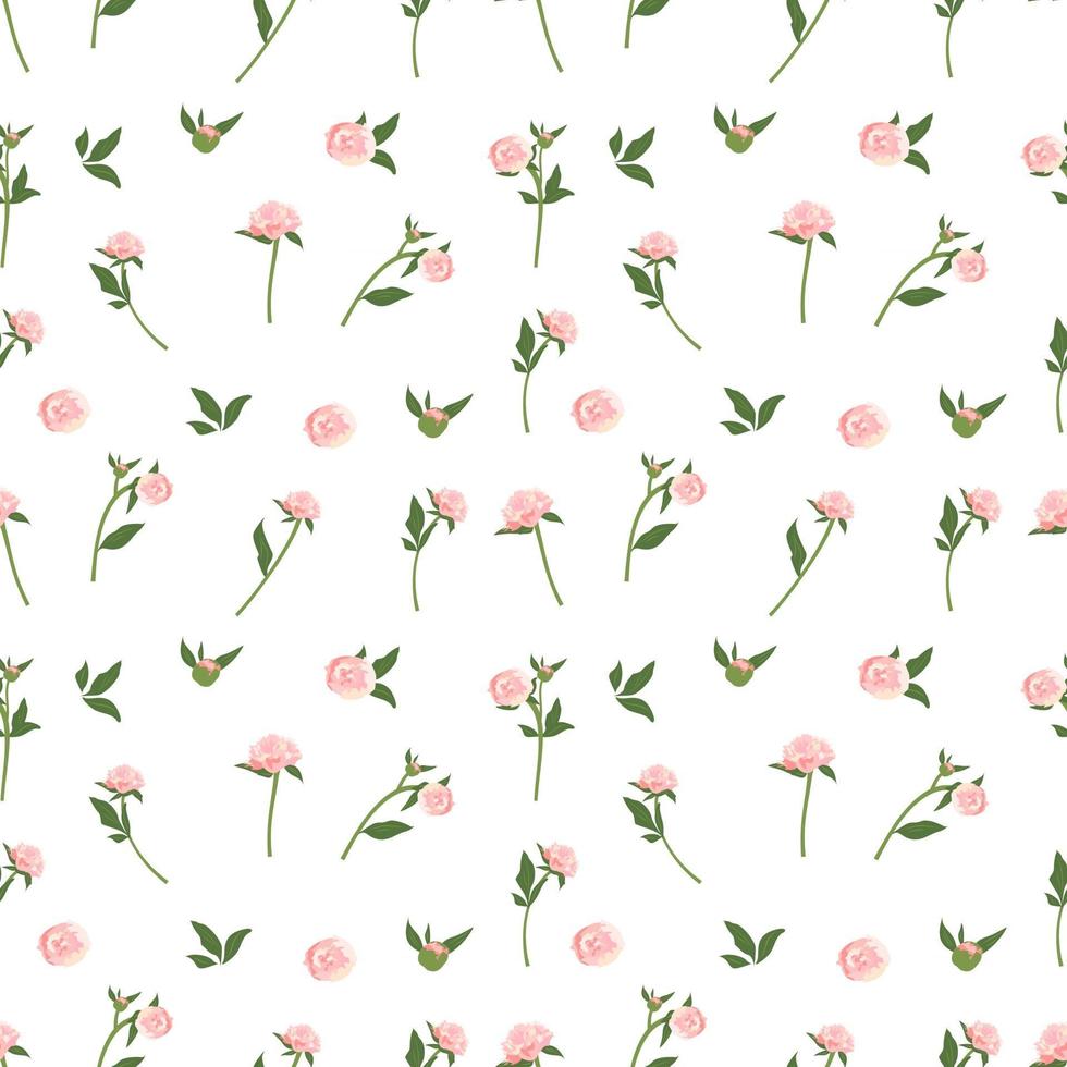 Delicate seamless pattern with peonies. floral print. vector