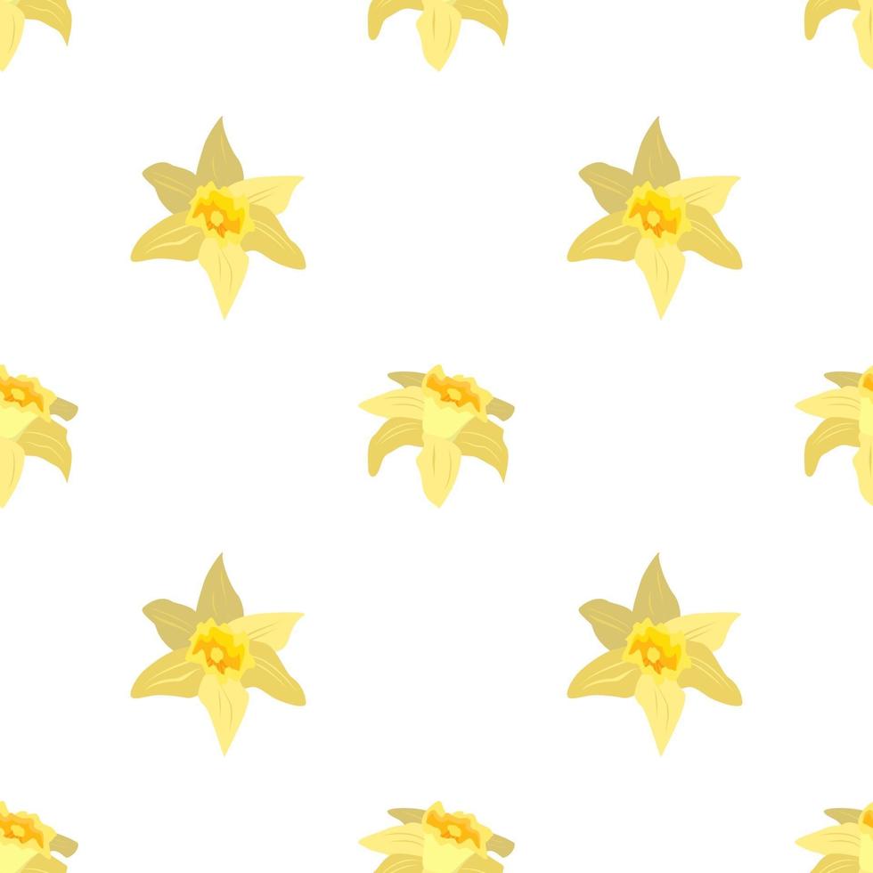 Seamless pattern with flowers daffodils vector