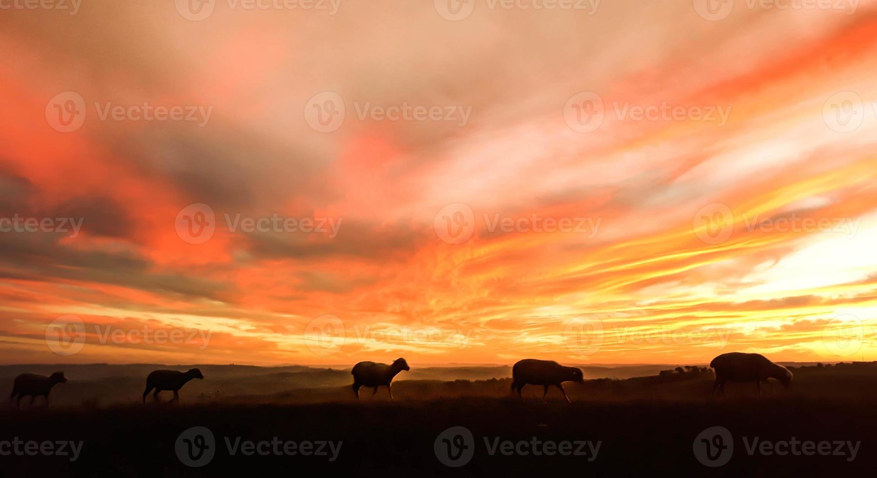 una loca puesta de sol en sudáfrica, vistas de sudáfrica foto