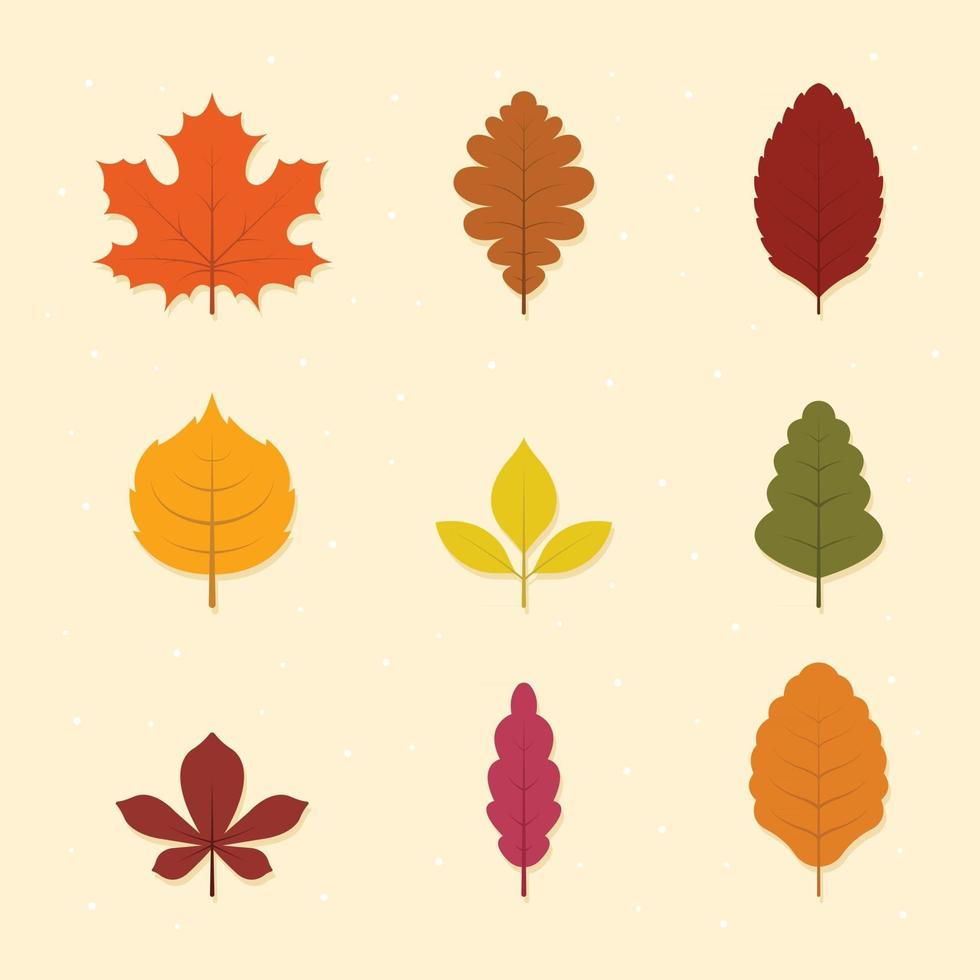 conjunto de icono de hojas de otoño vector