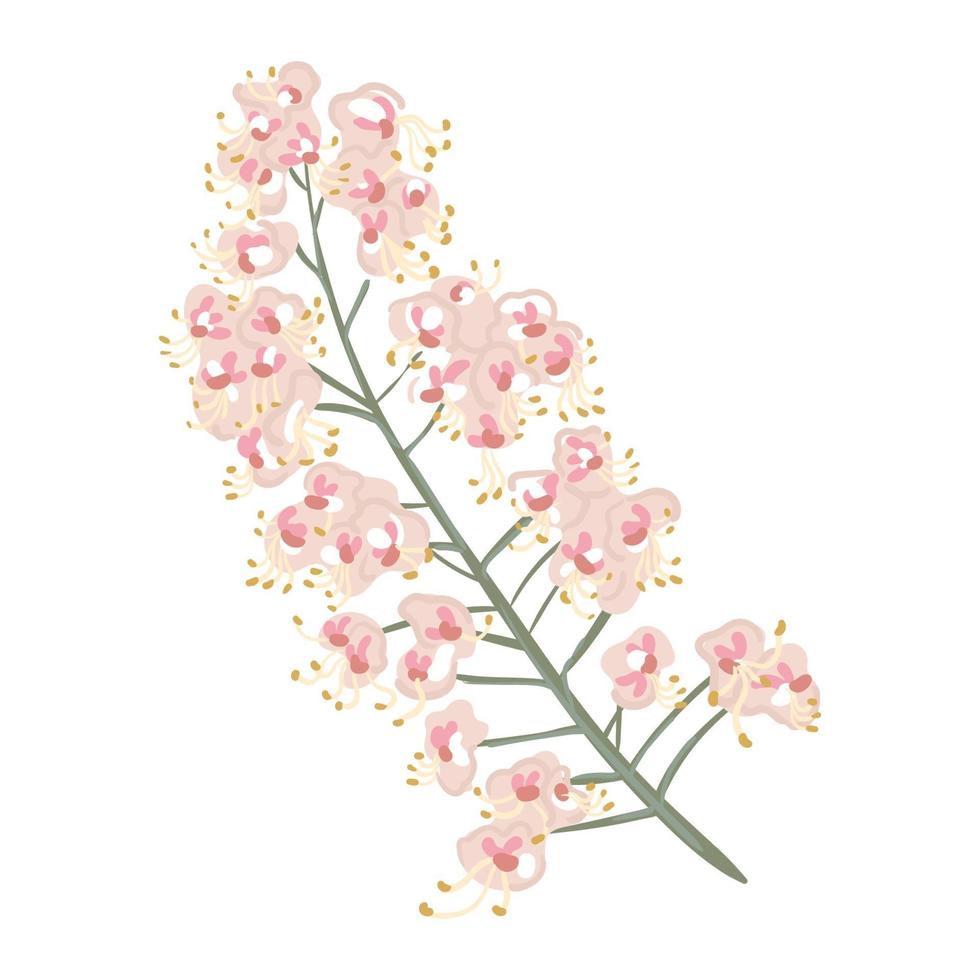 rama de castaño floreciente. vector dibujado a mano flores de árbol
