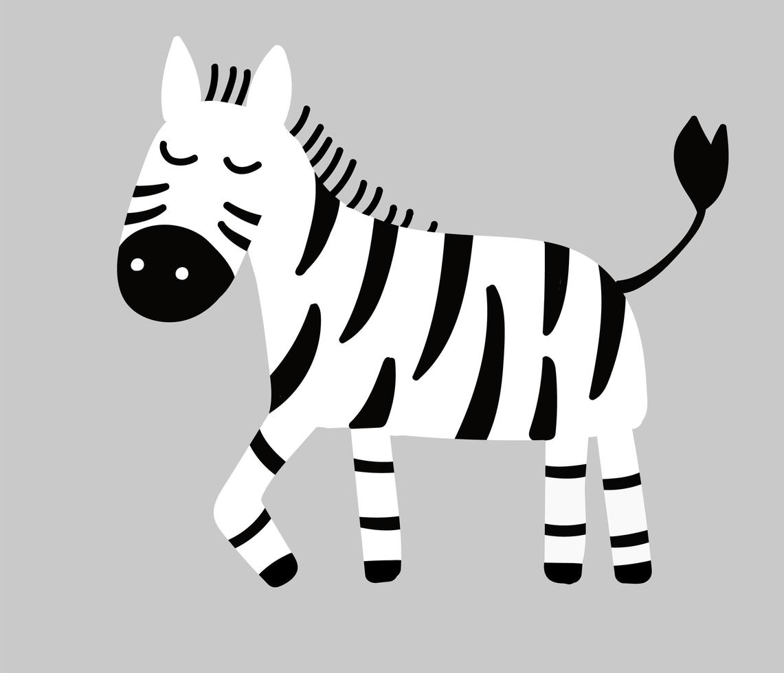 Hand drawn vector zebra. Cute cartoon baby illustration