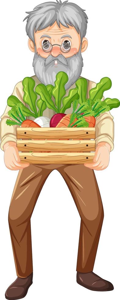 Old farmer man holding wooden crate of vegetable isolated vector