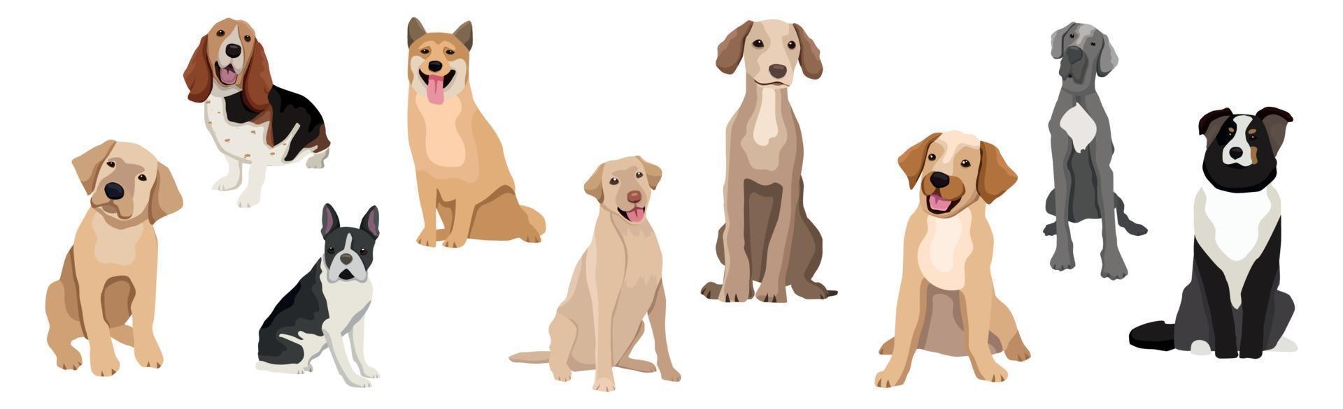 una selección de nueve perros realistas de diferentes razas vector