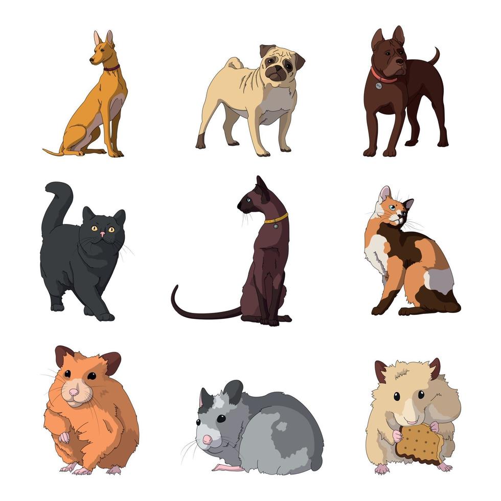 raza de mascotas realistas gatos, perros y hámsters - vector