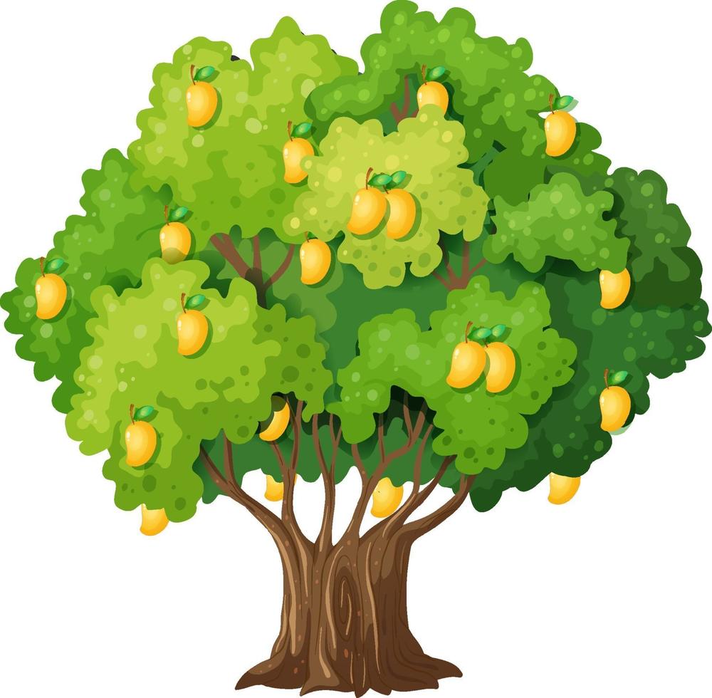 árbol de mango amarillo aislado sobre fondo blanco vector