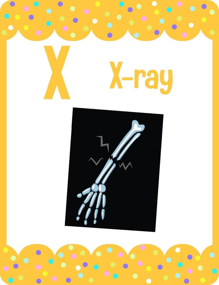 Alphabet flashcard with letter X for X-ray vector