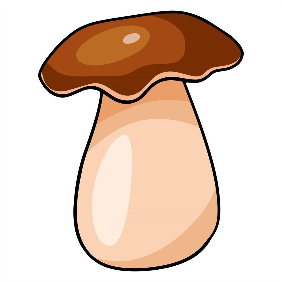 Vegetarian food. Edible porcini mushroom. Cartoon style. vector