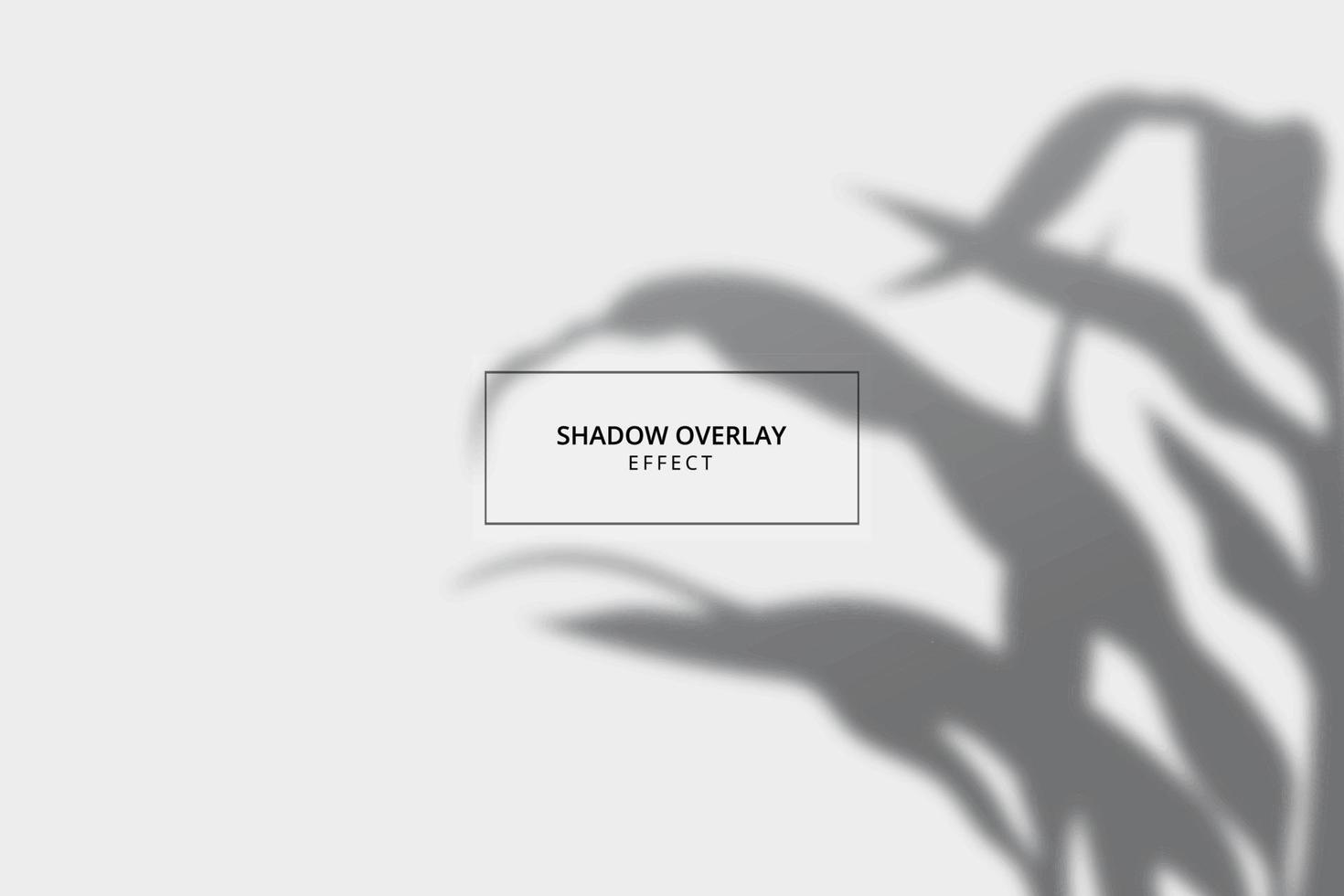 Shadow overlay effect on gray background mockup vector