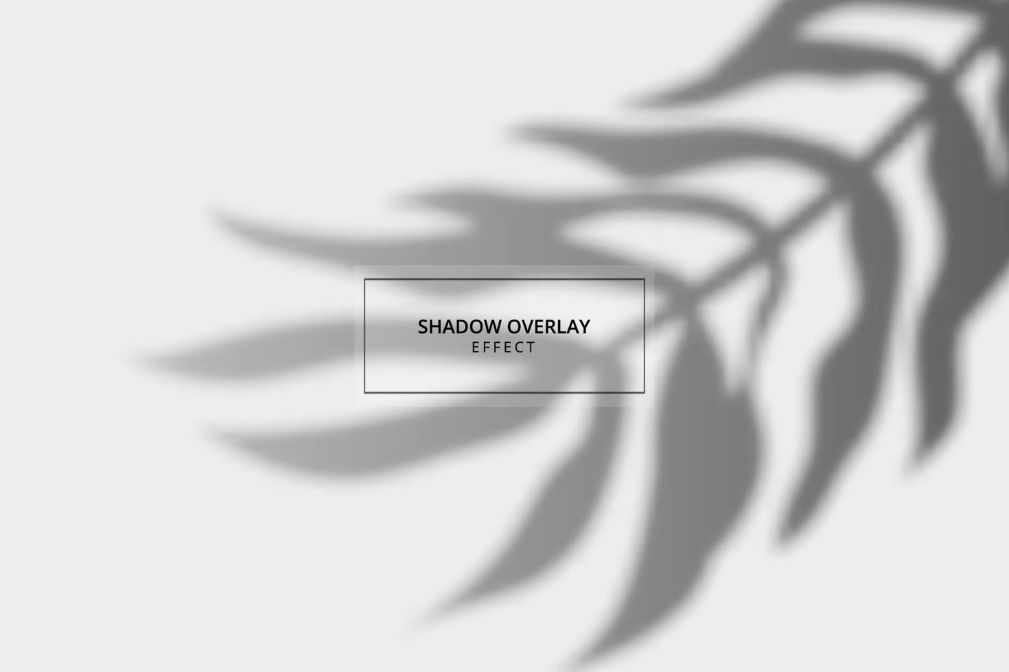 Plant shadow overlay effect on gray background vector