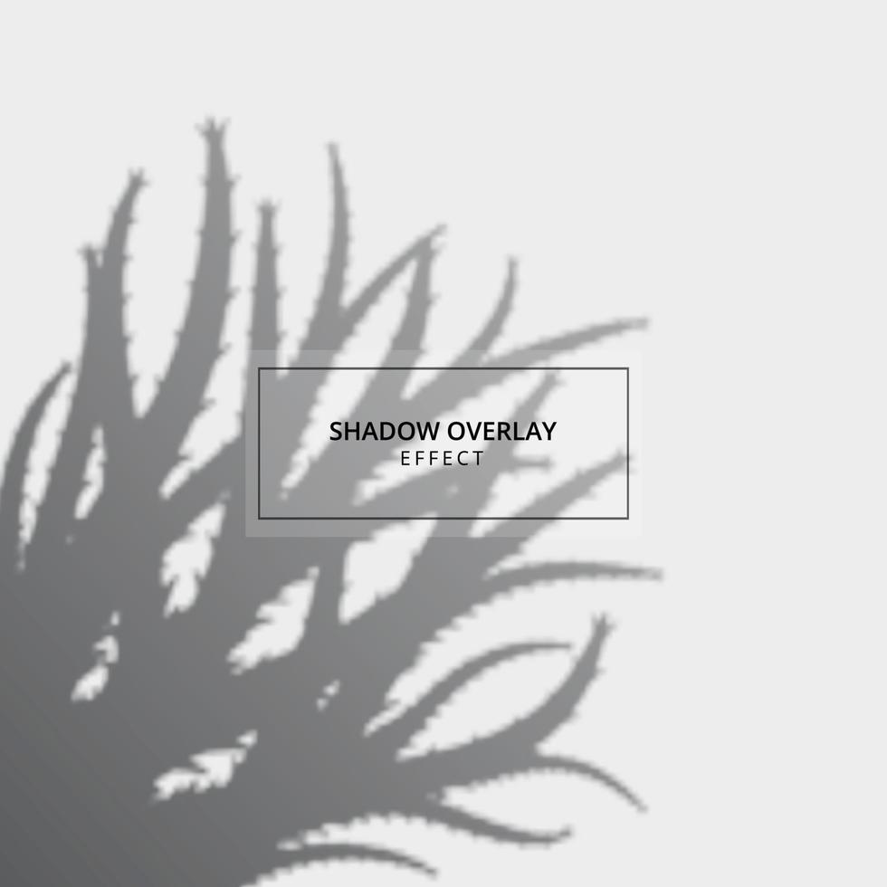 Plant shadow overlay effect on gray background vector