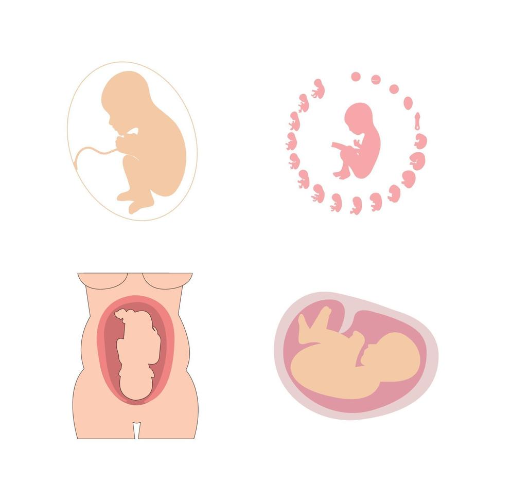 Set of four baby icons vector