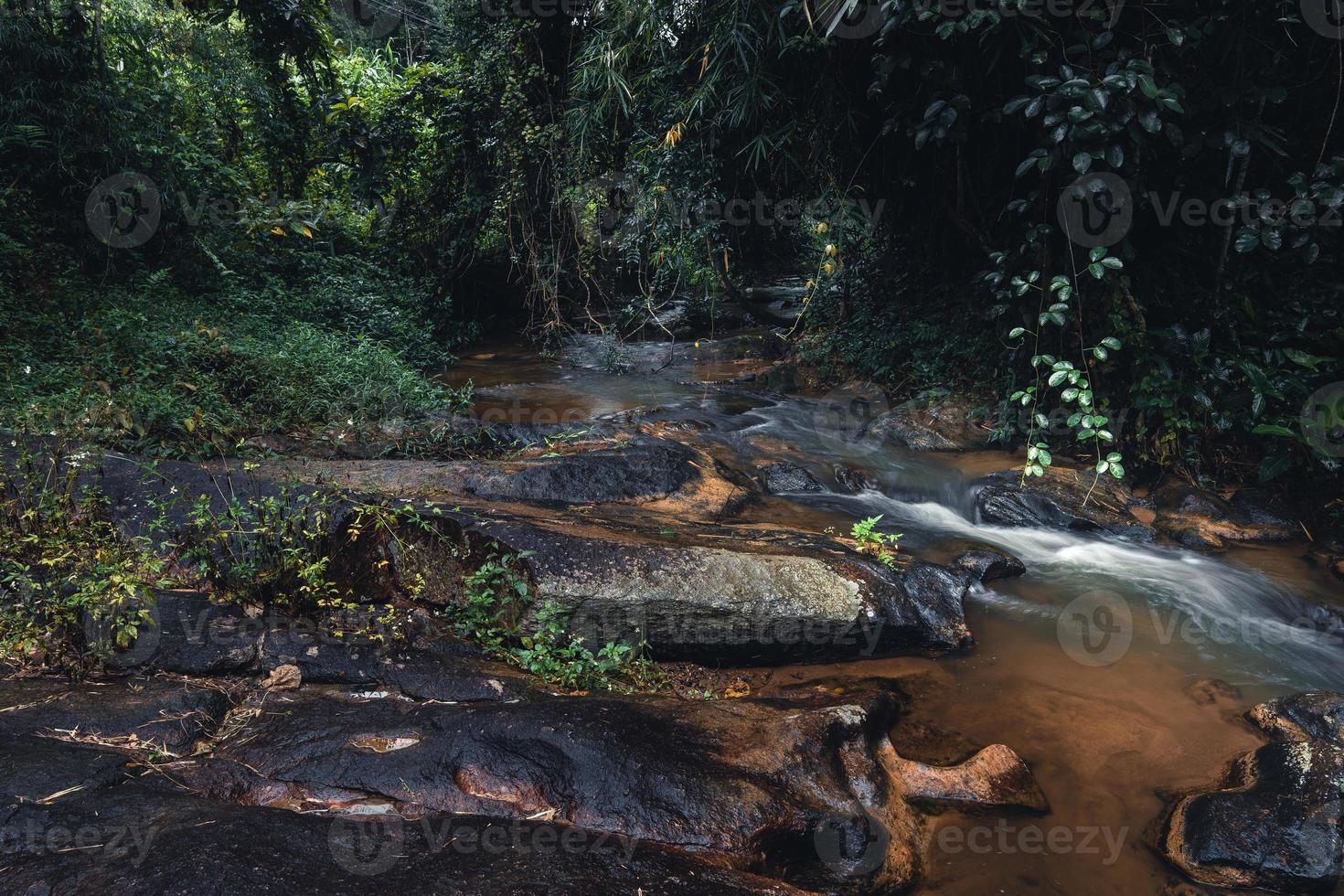 stream after rain in tropical forest photo