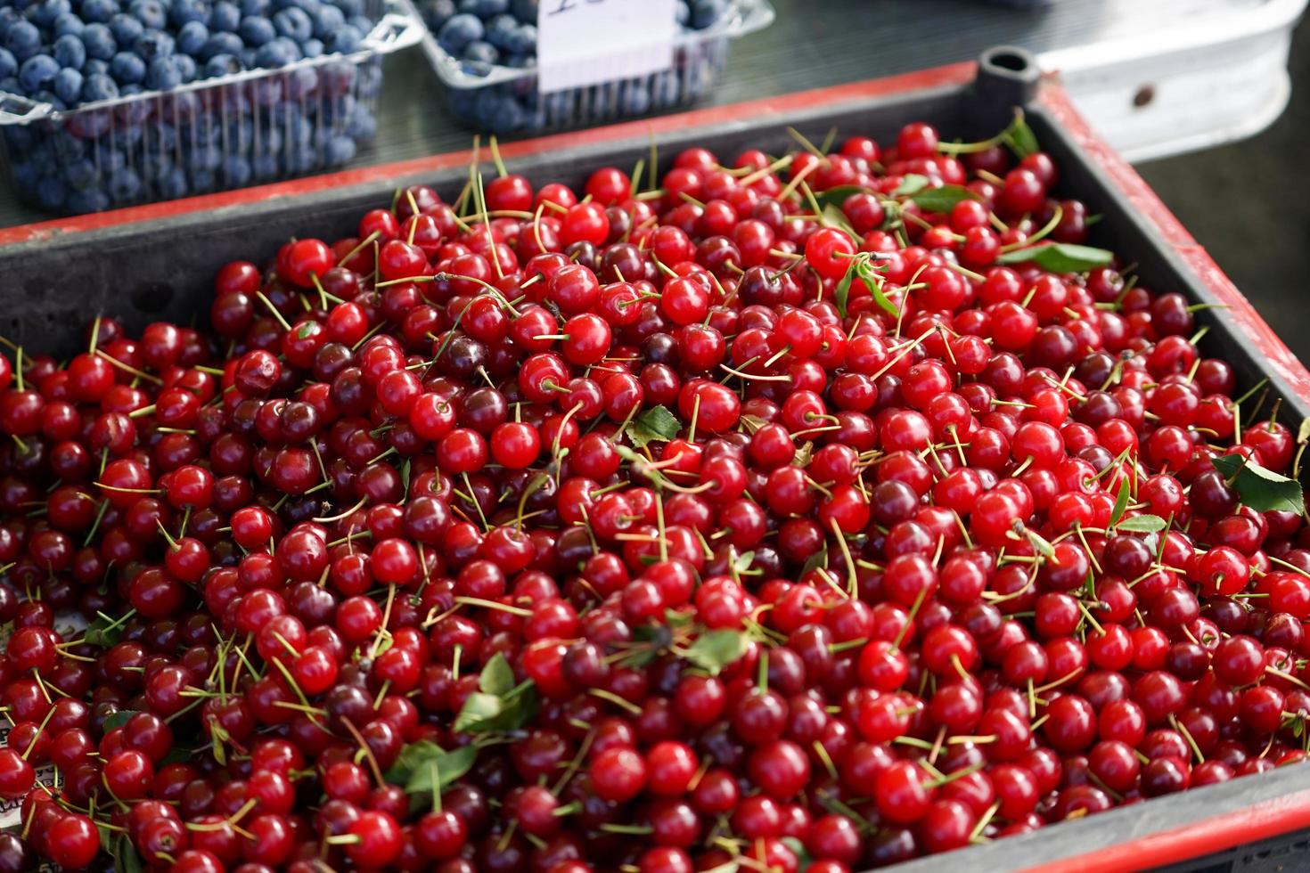 fondo natural con frutos rojos cereza foto