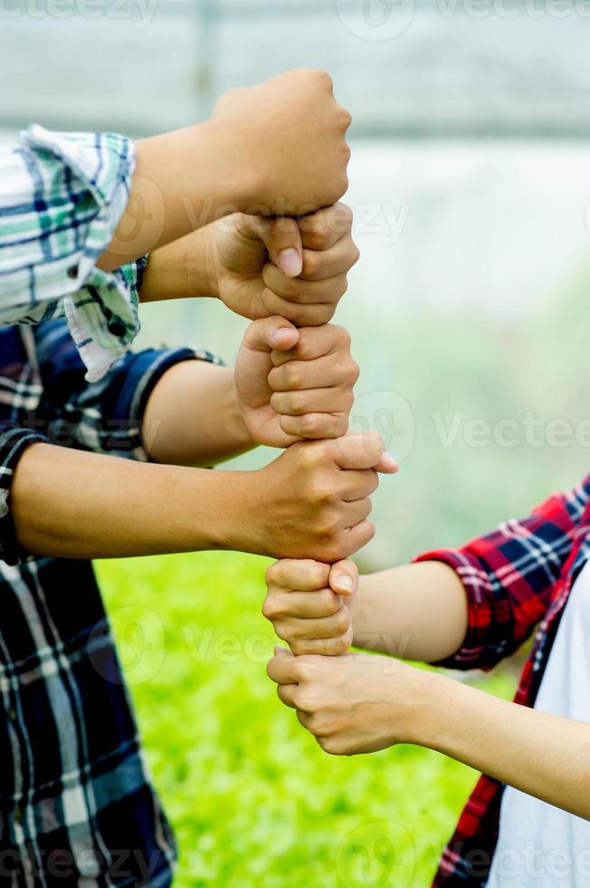 unidad, trabajo en equipo, unidad, grupo, unidad de la mente, poder, pon tus manos foto