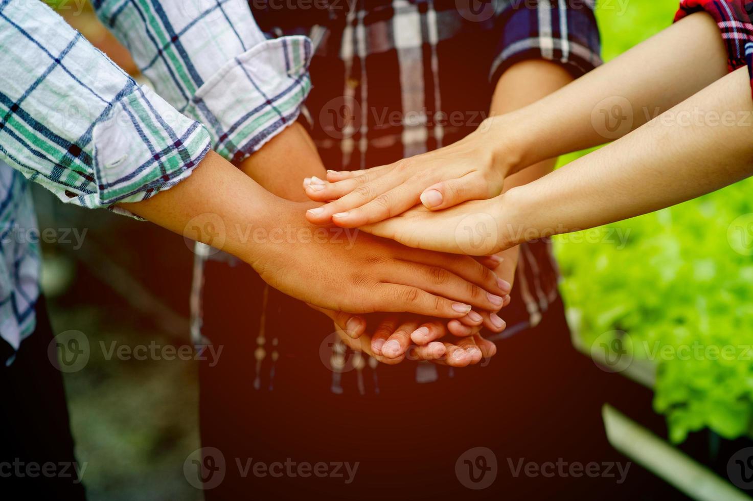 teamwork, unity, teamwork unity group unity of mind power photo