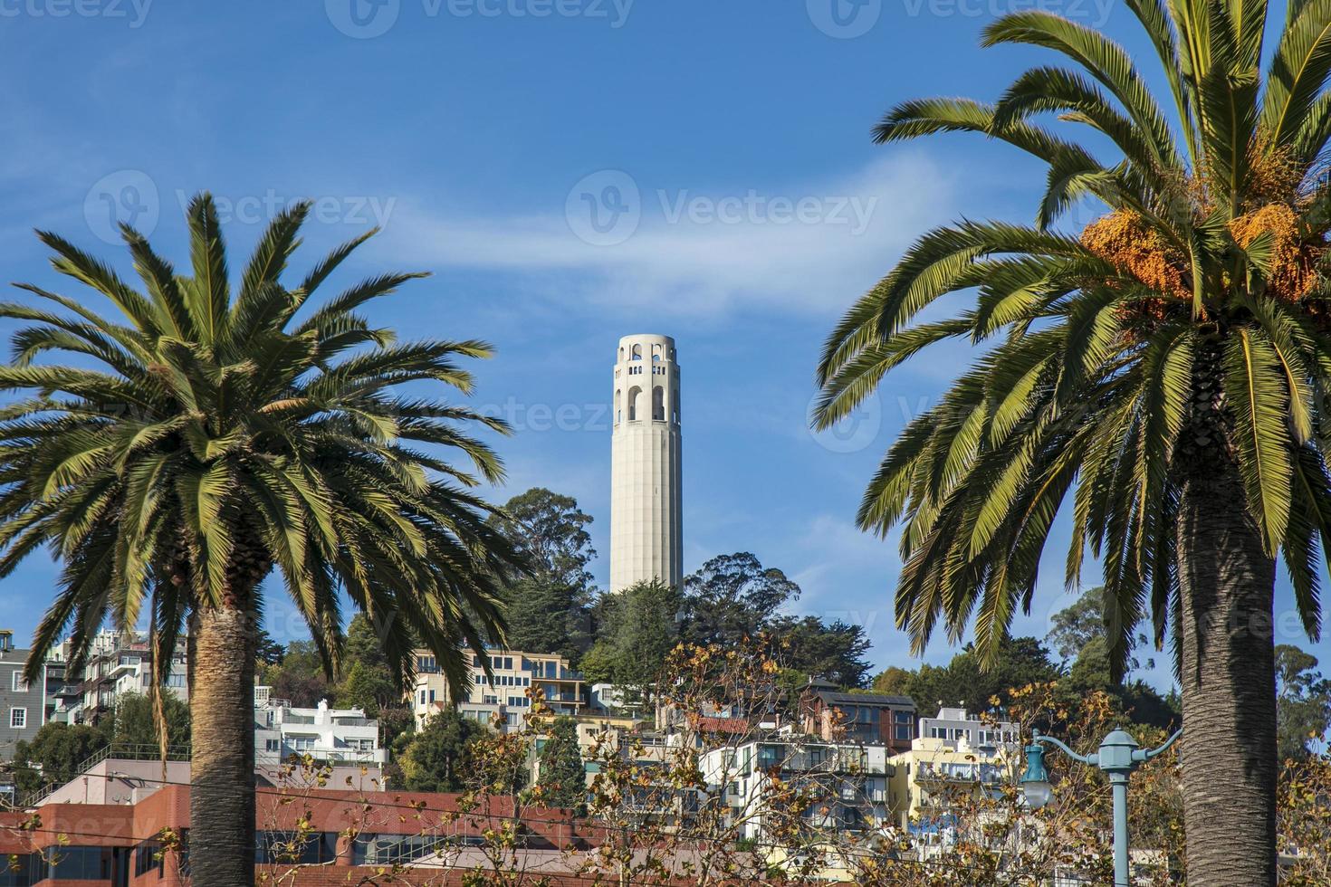 una vista de la torre coit en san francisco foto