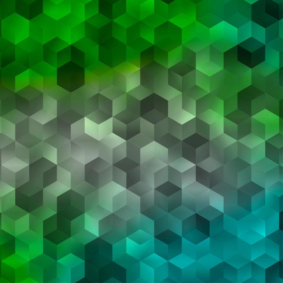 Light Green vector texture with colorful hexagons.