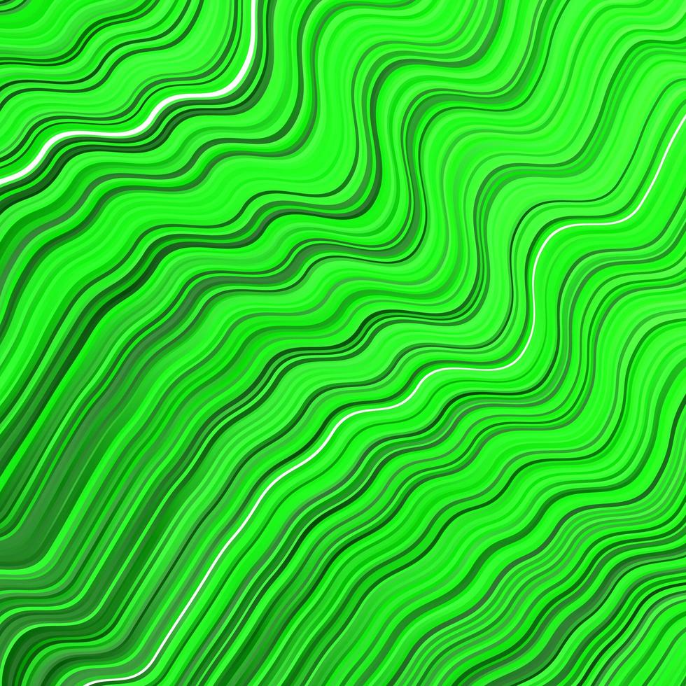 Light Green vector background with bent lines.