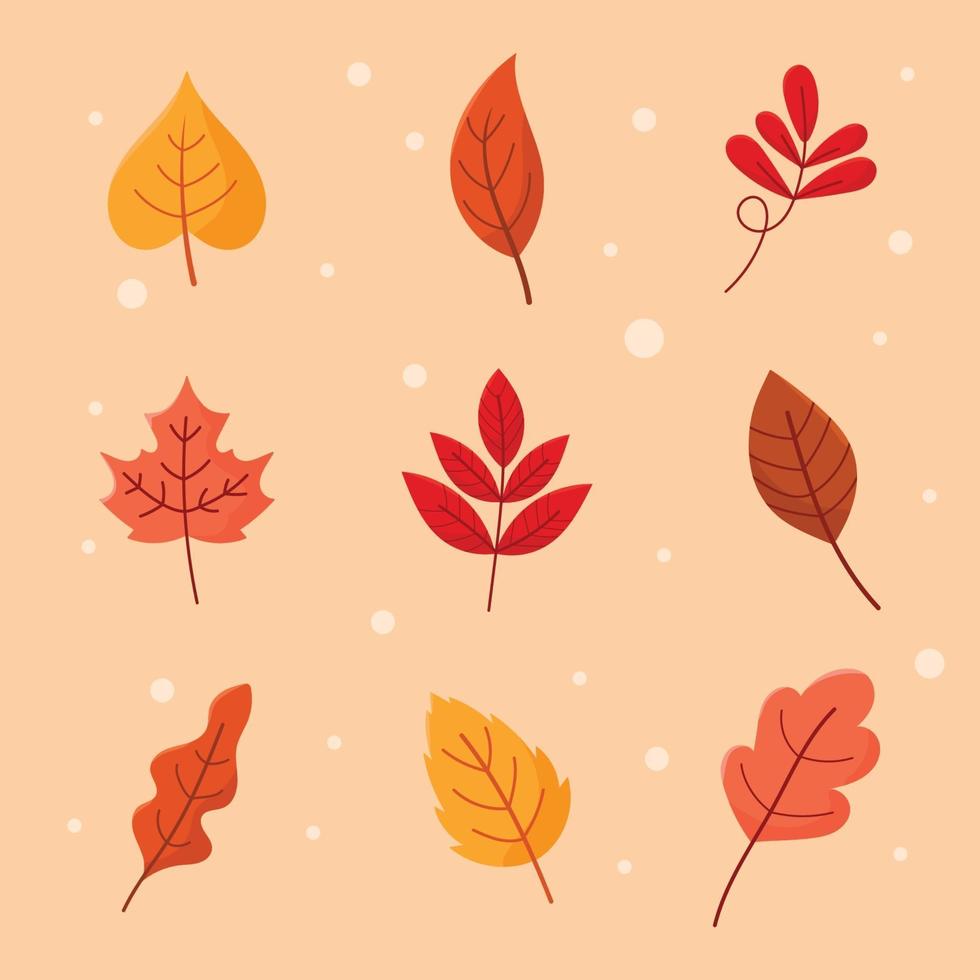 Autumn Leaves Collection vector