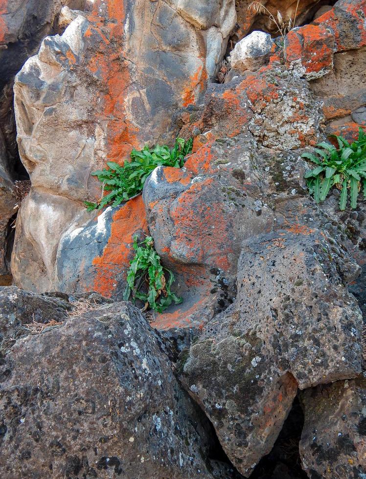 roca en el desierto cruce de tetherow cerca de redmond o foto