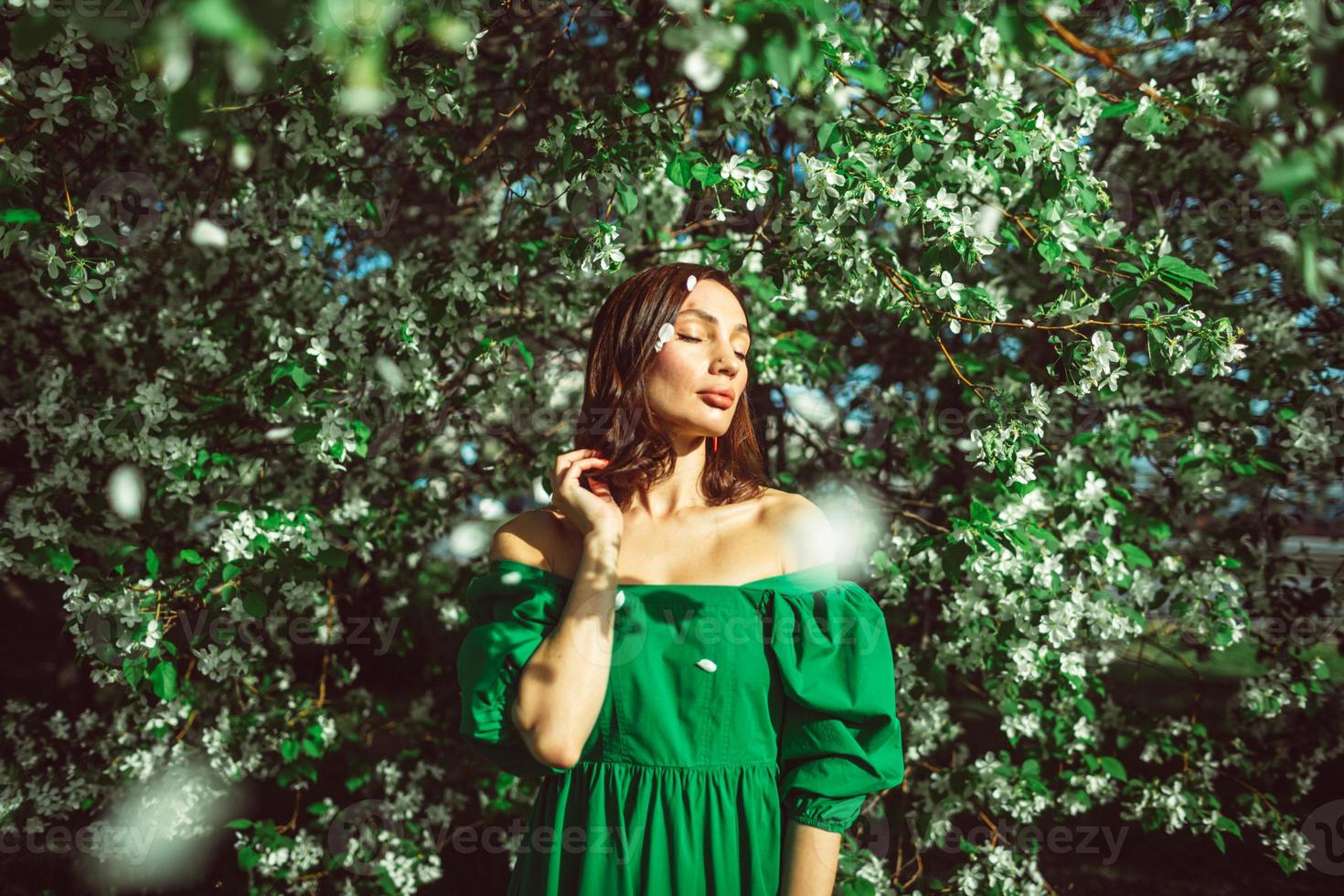 A young girl is standing in the park under a blossoming apple tree photo