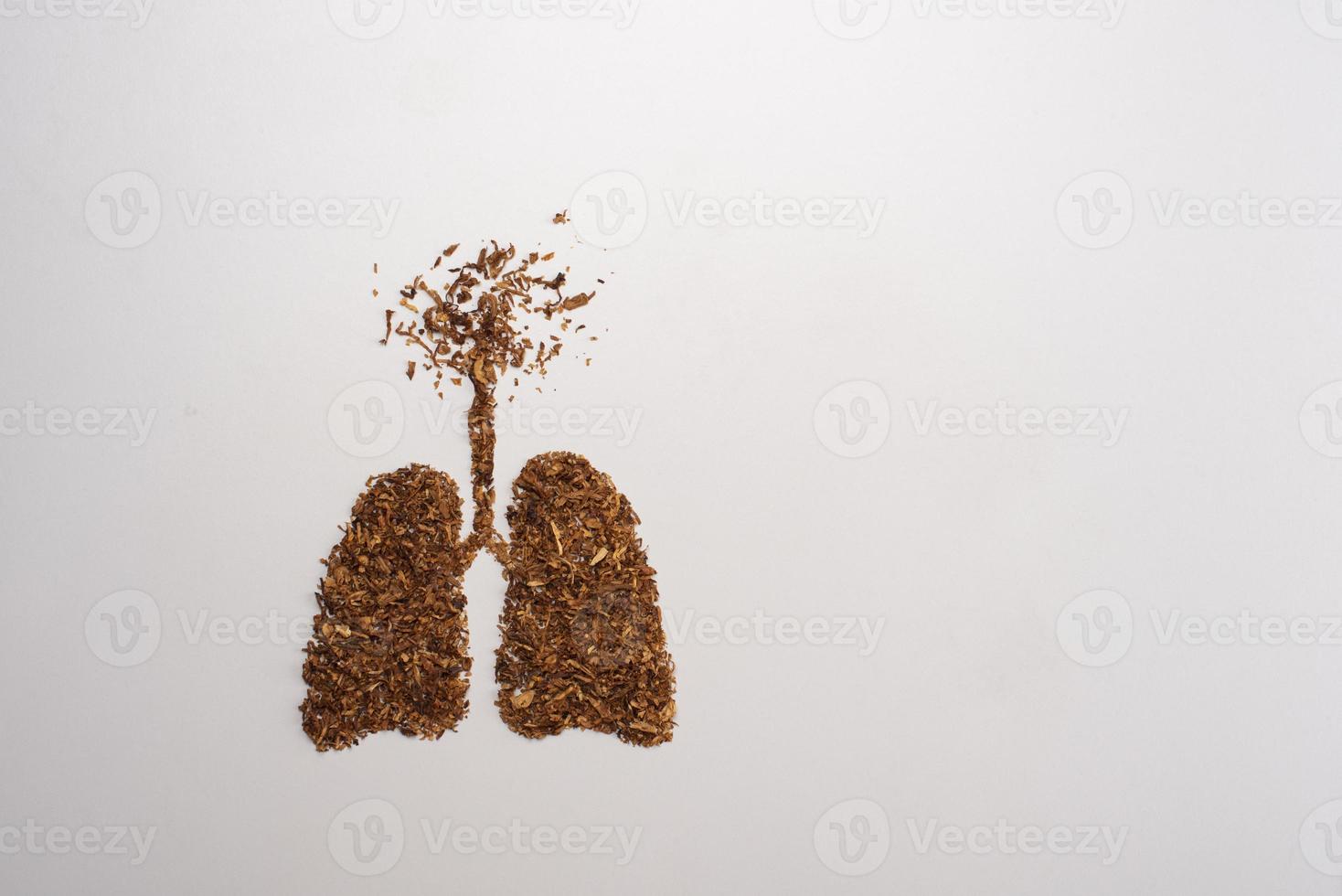 No smoking concept with cigarettes and tobacco lunges shape photo