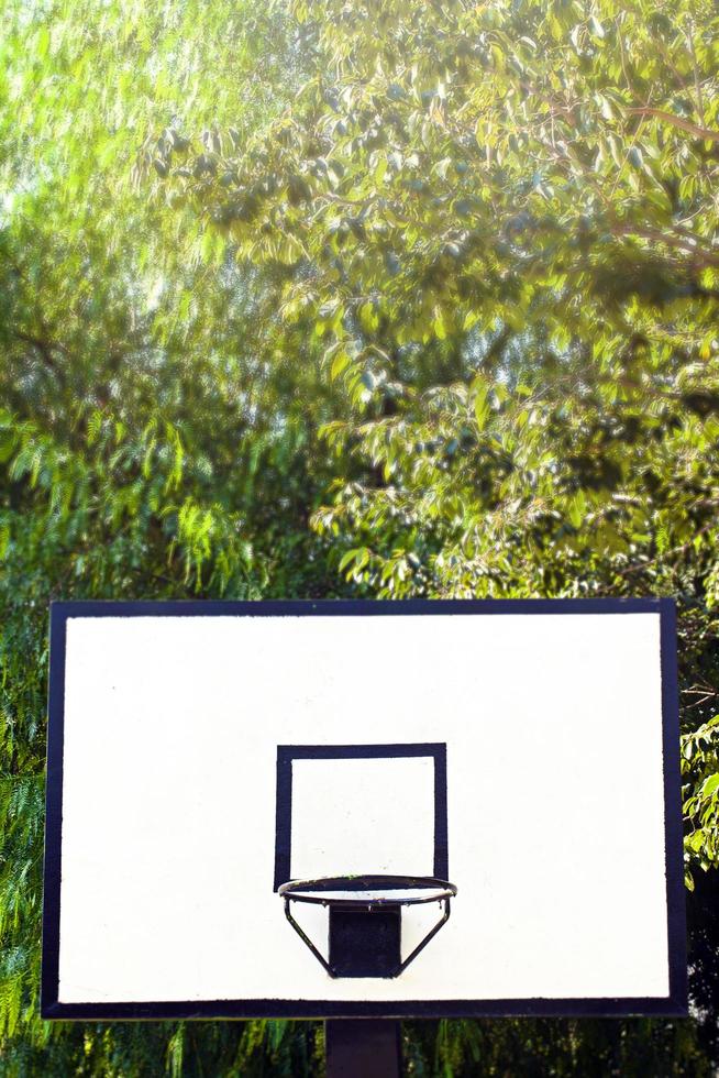 Sport Fit and Healthy Life Concept Basketball photo